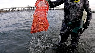 Dungeness Crab Diving | White Rock, British Columbia