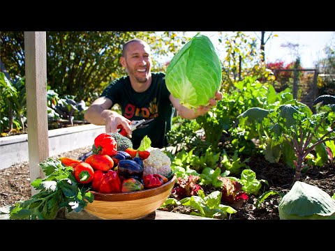 Videó: Novemberi kertészeti feladatok – Délnyugati kert termesztése novemberben