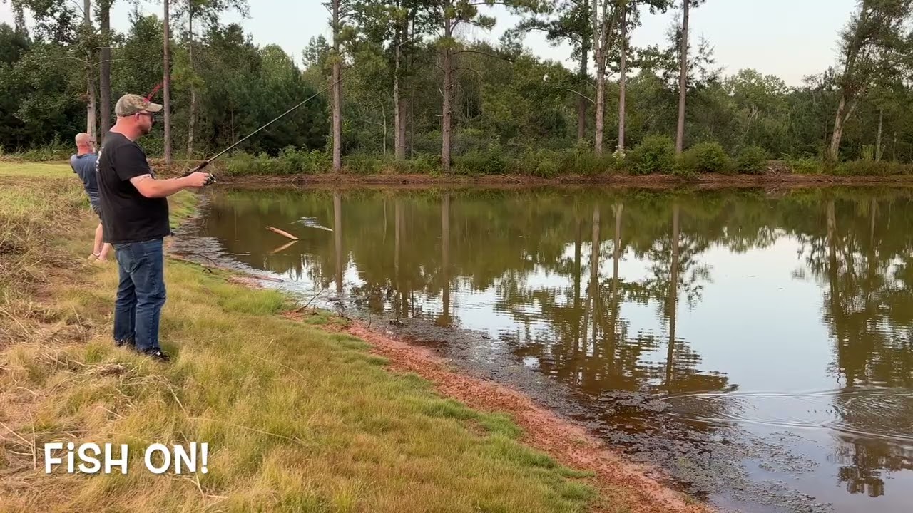 Mississippi Bass Fishing