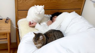 猫を飼うと寝不足になる理由がこちら…笑