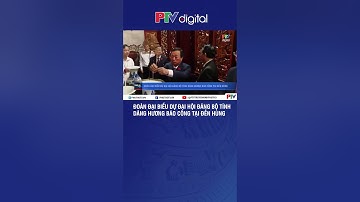 Đoàn đại biểu Đại hội Đảng bộ tỉnh Phú Thọ dâng hương tưởng niệm các Vua Hùng