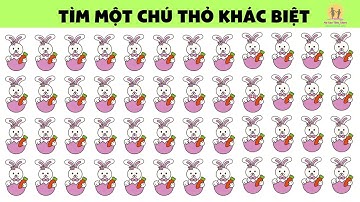 Tìm Điểm Khác Biệt  | Thử Tài Tinh Mắt Bé Yêu |Nguyễn Thị Lan Anh