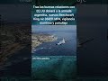 info militar argentina 🇦🇷