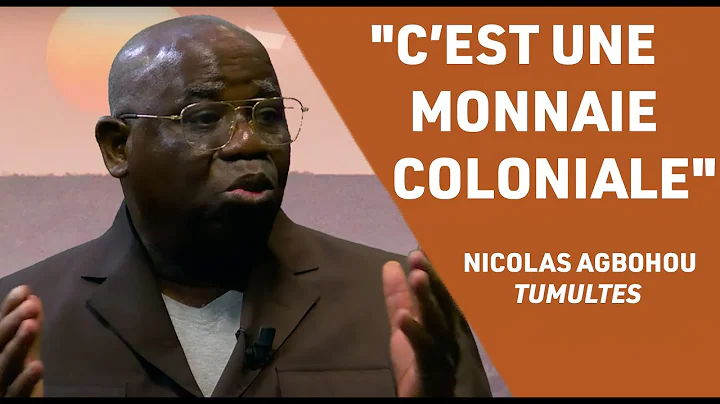 Quel est le regard des africains sur le Franc CFA?