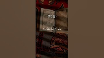 خواتيم سورة البقرة قران كريم بصوت جميل ومؤثر 🎧🥰 متابعة للصفحة فضلاً #قرآن #قران_كريم
