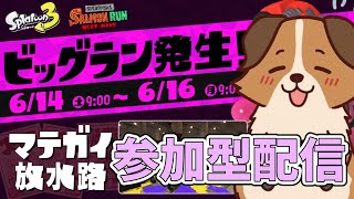 ビッグランをみんなで遊びながらカンストするかぁ🐶🌟負け犬系Vtuber配信【スプラトゥーン3】【サーモンランNW】