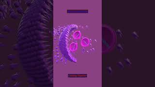 Nano Particles