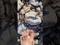 Find Peace River Walk, Barefoot, & Inner Reflection