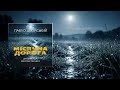 Павло Дворський Місячна дорога WAVEARTAUA MELODIC TECHNO