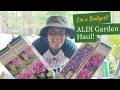 Aldi Garden Haul: Flowers + Decor on a Budget