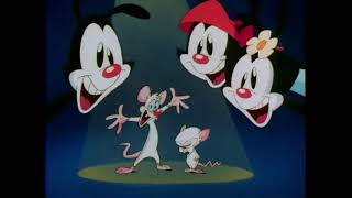 Animaniacs - Intro different endings (Russian) [2014 dub by Boomerang]
