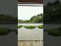 正伝寺・京都　Shoden-ji Kyoto Japan Garden