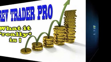 REV Trader Pro REVIEW The best start from 2015