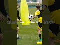 "5 Must-Have Skills to Dominate Your Game!"