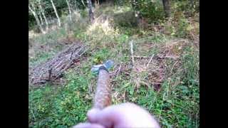 Another break in the woods, and some October wild food cooking
