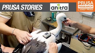 Soaring 3D prints: GPS loggers for migratory birds by Anitra screenshot 4