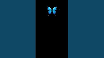  قال إني عبد الله آتاني الكتاب وجعلني نبيا🦋تلاوة هادئة للقارئ إسلام صبحي 🦋سورة مريم #قرآن