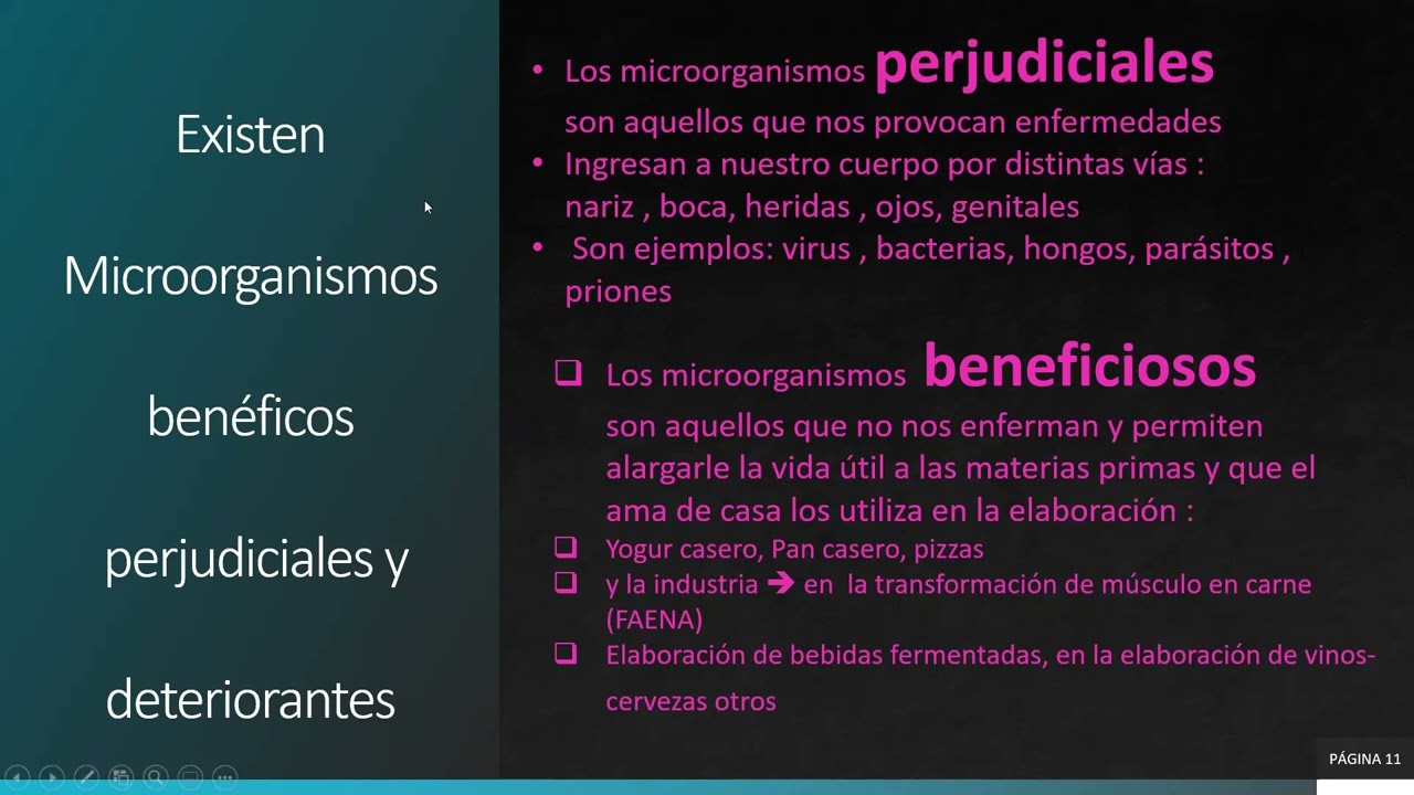 Curso de Microbiología aplicada a PUPAAs