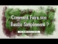 Comment semer et repiquer son basilic simplement ?