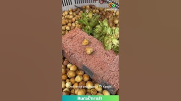 Cracking Nuts with a WRENCH?! 🤯 Mind-Blown by This Hack! #nutcracker #toolhack #viralhack