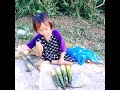 Rural life!!! Villagers life with family