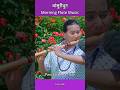 Morning Flute Music | Bansuridhun | Bird Sound With Nature | Instrumental #flute #flutemusic #shorts