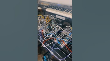 010 Plonk & Basimilus  #eurorack #experimental #electronicmusic  #synthesizer #modular #sounddesign
