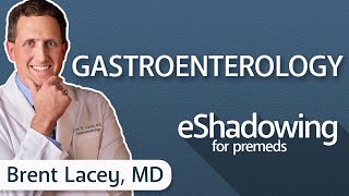 How to Become a Gastroenterologist with Brent Lacey, MD | eShadowing for Premeds Ep. 22