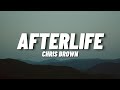 Chris Brown - Afterlife (Lyrics)