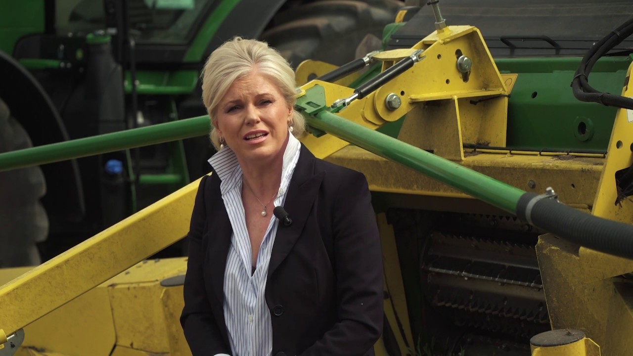 Všestarská cibule: poklad naší země