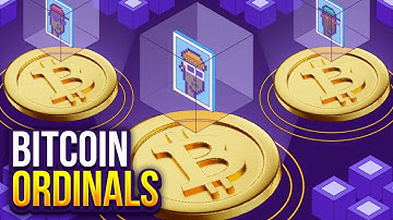 What are Bitcoin Ordinals? -  Bitcoin Ordinal Protocol NFTs Explained