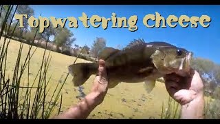 Cheese Factory Bass Fishing