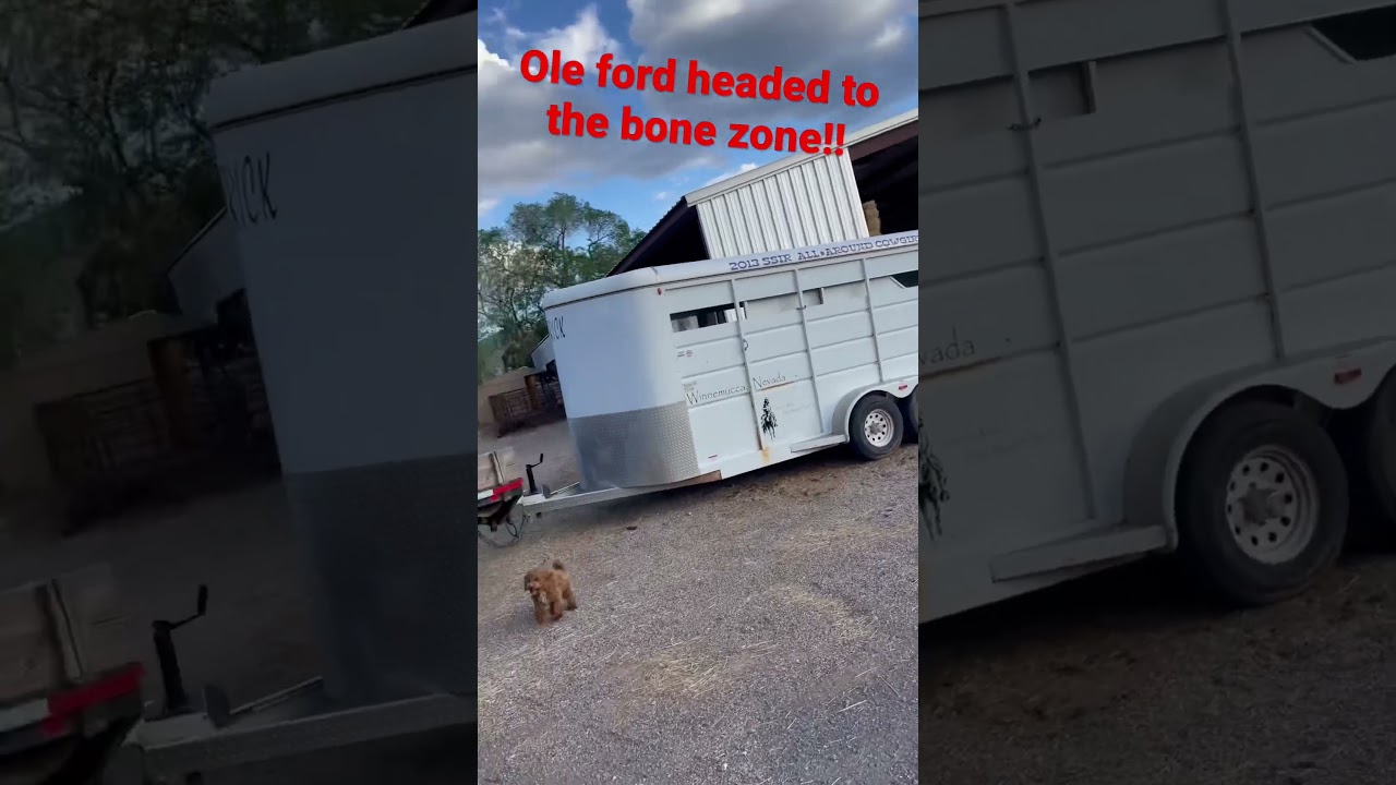 Ole ford hits the bone zone! 