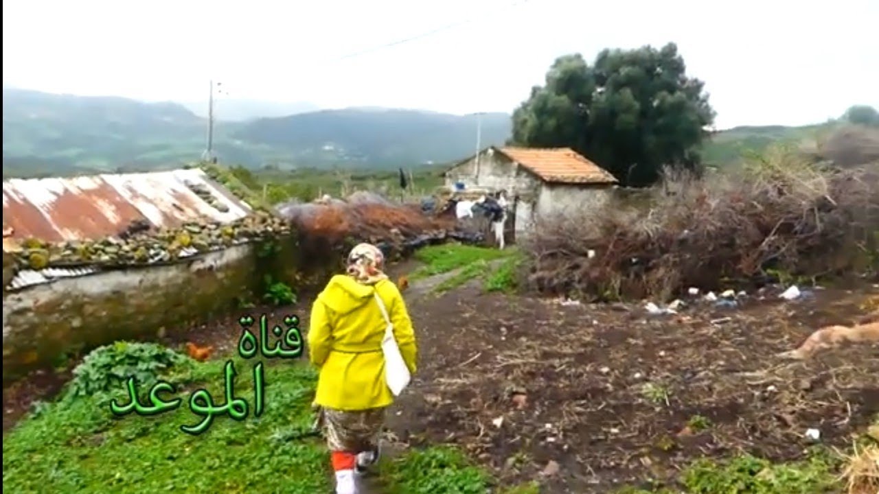 نمشي بالسوايع وأنا عندي ثمنية دم حتى بش نطيب حاجة دبوزة الغاز فرغت ، ريف نفزي يعاني التهيش