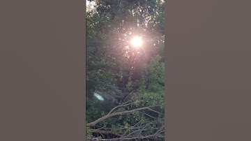 القارئ عبد الباسط عبد الصمد ﴿ يَا أَيُّهَا الَّذِينَ آمَنُوا اجْتَنِبُوا كَثِيرًا مِّنَ الظَّنِّ ..