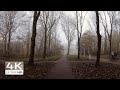 ⁴ᴷ Relaxing Walk in the FOG in Amsterdam | Nature Sounds ASMR