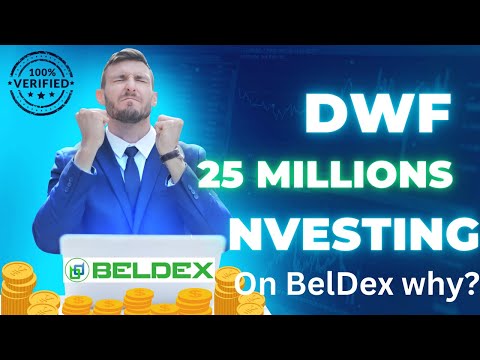 Why World Top Investor DWF Labs Investing 25 Millions In Beldex 