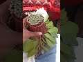 الأماكن تخازين قات الخميس صبيا ابوعريش الخضراء 967775678964 الأماكن تخازين قات الخميس صبيا ابوعريش الخضراء 967775678964