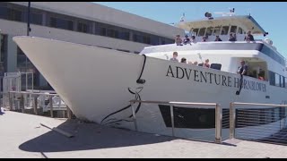 Boat Crashes into San Diego Dock [CAUGHT ON TAPE]