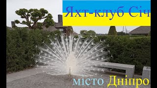 видео: місто Дніпро Яхт-клуб Січ / Дніпропетровська обл / Прогулянка по місту / Життя це рух / річка Дніпро картинка: місто Дніпро Яхт-клуб Січ / Дніпропетровська обл / Прогулянка по місту / Життя це рух / річка Дніпро