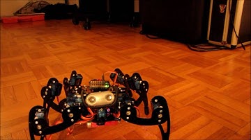 OpenSCB hexapod control demo
