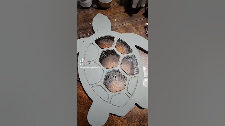wood turtle painting