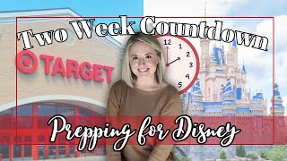 Getting Ready for Disney | Prepping for Disney World | Disney Grocery Order | What to Bring?!