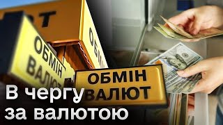 💵💲 Українці кинулись скуповувати долар! Чи варто це робити?