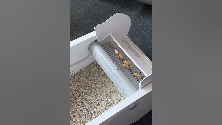 Automatic litter box for cats | ARTEM REGART #cat #litterbox #house