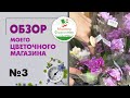 #3 Новые растения, новые впечатления. Обзор мастерской