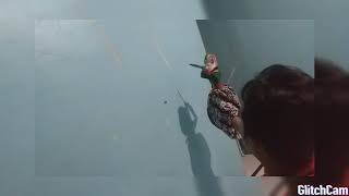 Perang Keris Wayang Golek Kebumen