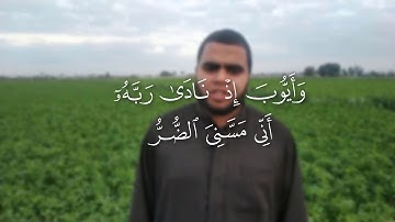 (وأيوب إذ نادى ربه أني مسني الضر) تلاوة خاشعة | للقارئ حماد رضوان
