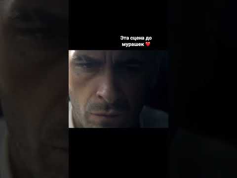 Не помогла полиция, не помог брат.. А Винни даже просить не пришлось 💪