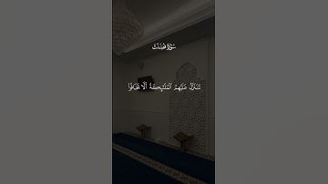 تلاوه هادئه تريح الاعصاب 🌺🌿 #قران_كريم #quran #قرآن #تلاوه #المصحف #تلاوة_هادئة #اكسبلور